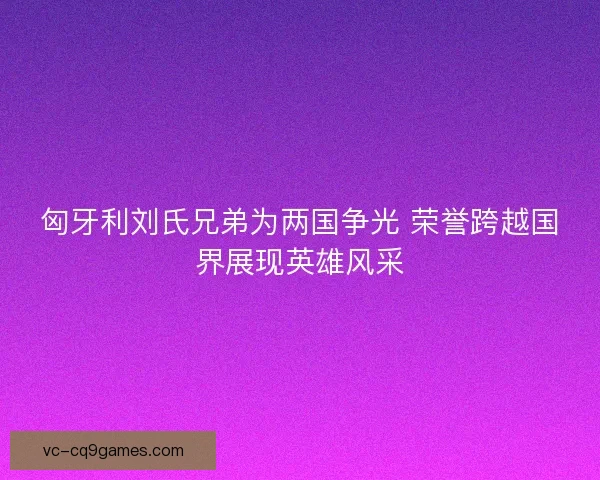 匈牙利刘氏兄弟为两国争光 荣誉跨越国界展现英雄风采